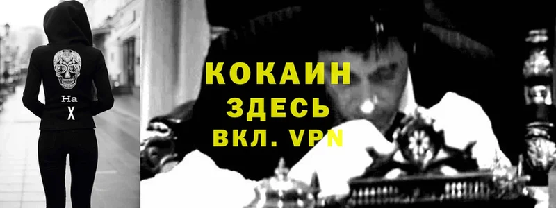 COCAIN Columbia  мориарти телеграм  Белая Калитва 